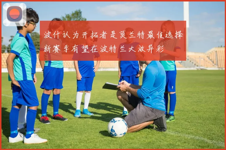 波什认为开拓者是莫兰特最佳选择新赛季有望在波特兰大放异彩